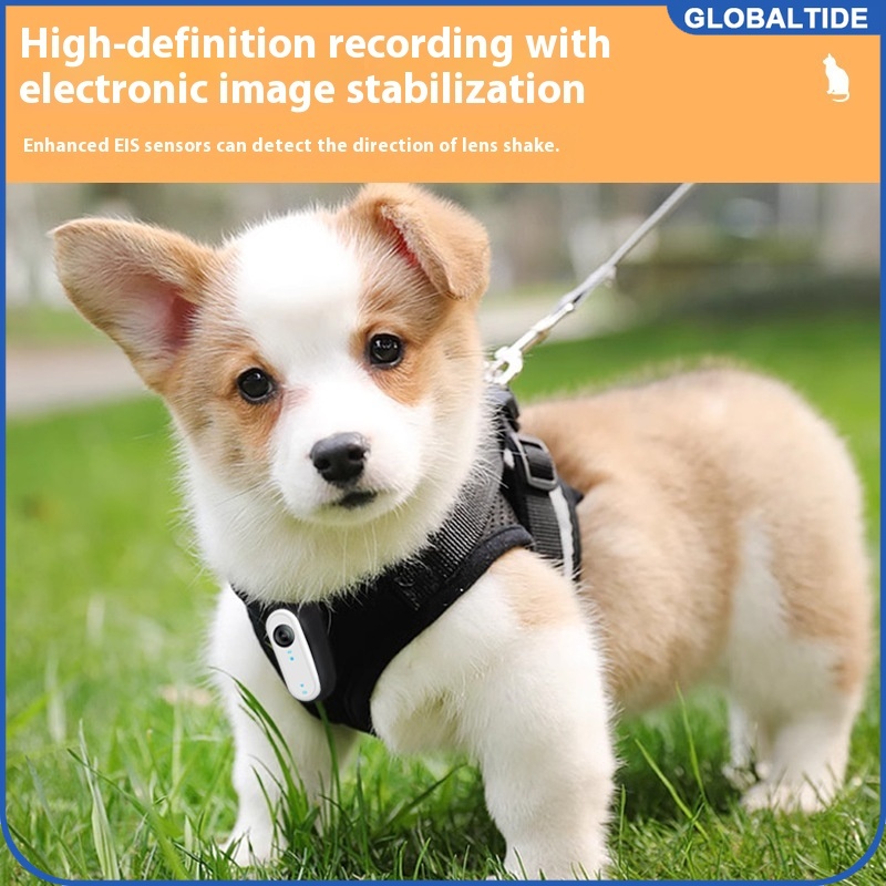 Outdoor Adventure Hours - Waterproof Mini Body Camera for Dogs