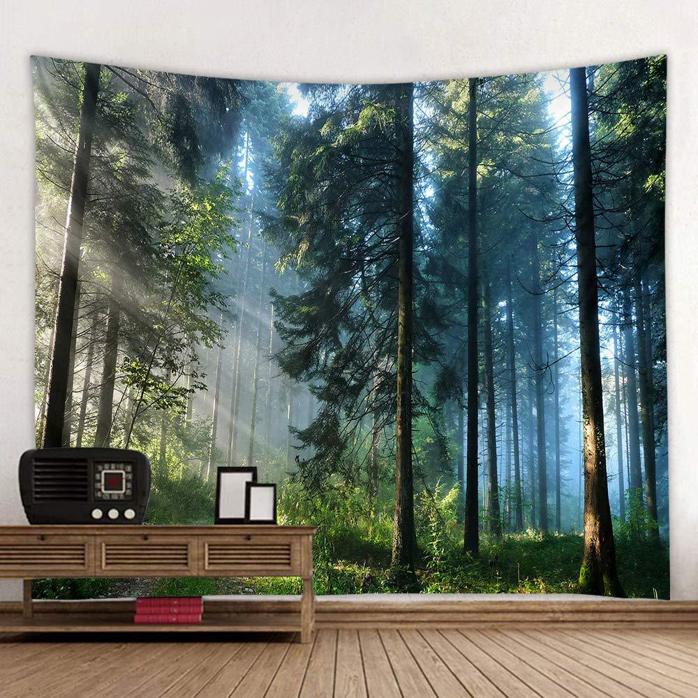VIKAMA Outdoor Adventure Natur - Outdoor Adventure Background ulasan dan harga